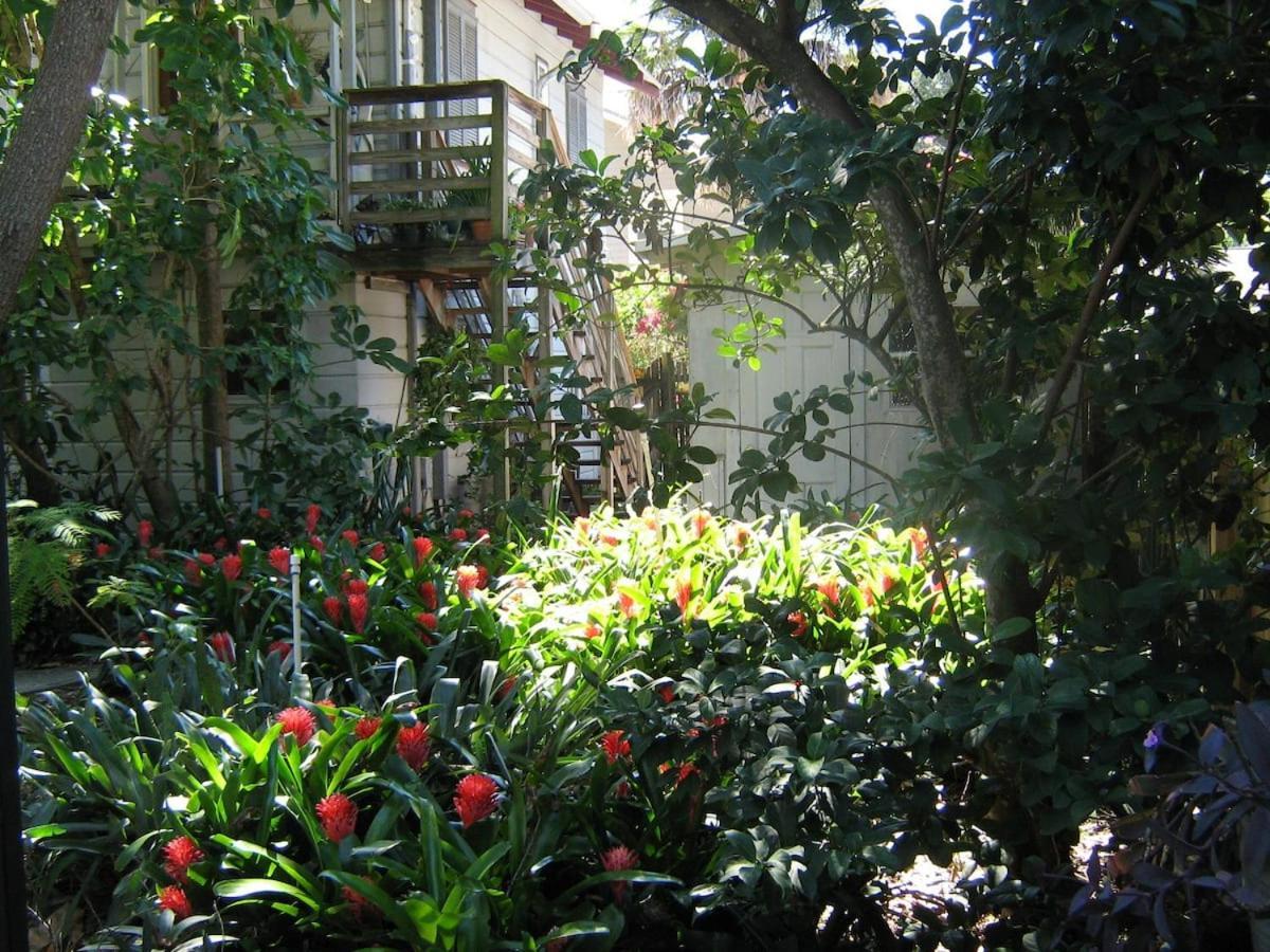 The Treehouse Apartment St. Petersburg Ngoại thất bức ảnh