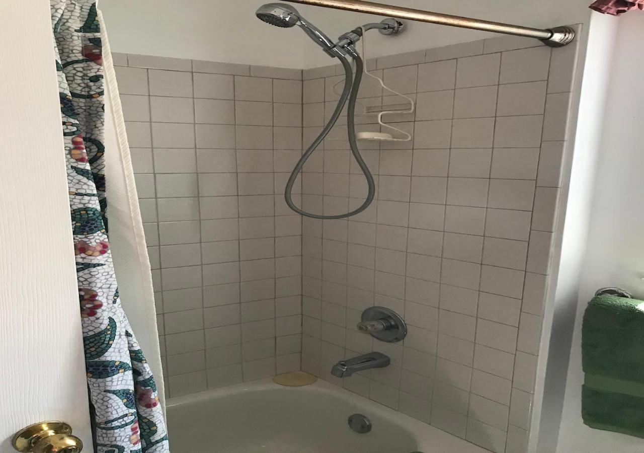 The Treehouse Apartment St. Petersburg Ngoại thất bức ảnh